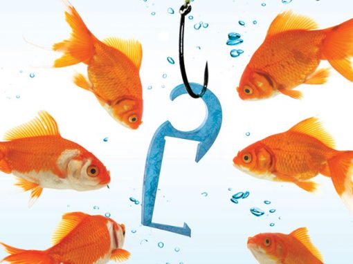 Integrity Fish